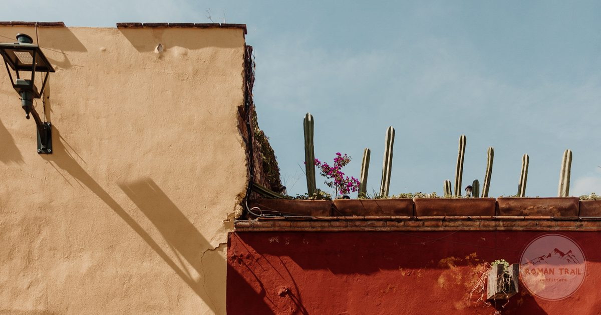 A rooftop with cacti and painted walls in San Miguel de Allende, Mexico