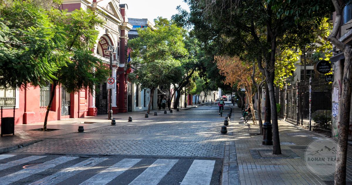 Tree-lined street in Barrio Bellavista, Santiago, Chile