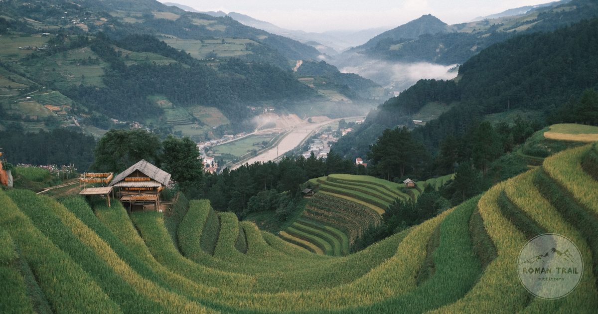Terraced rice fields in a misty mountain valley near Sapa, Vietnam