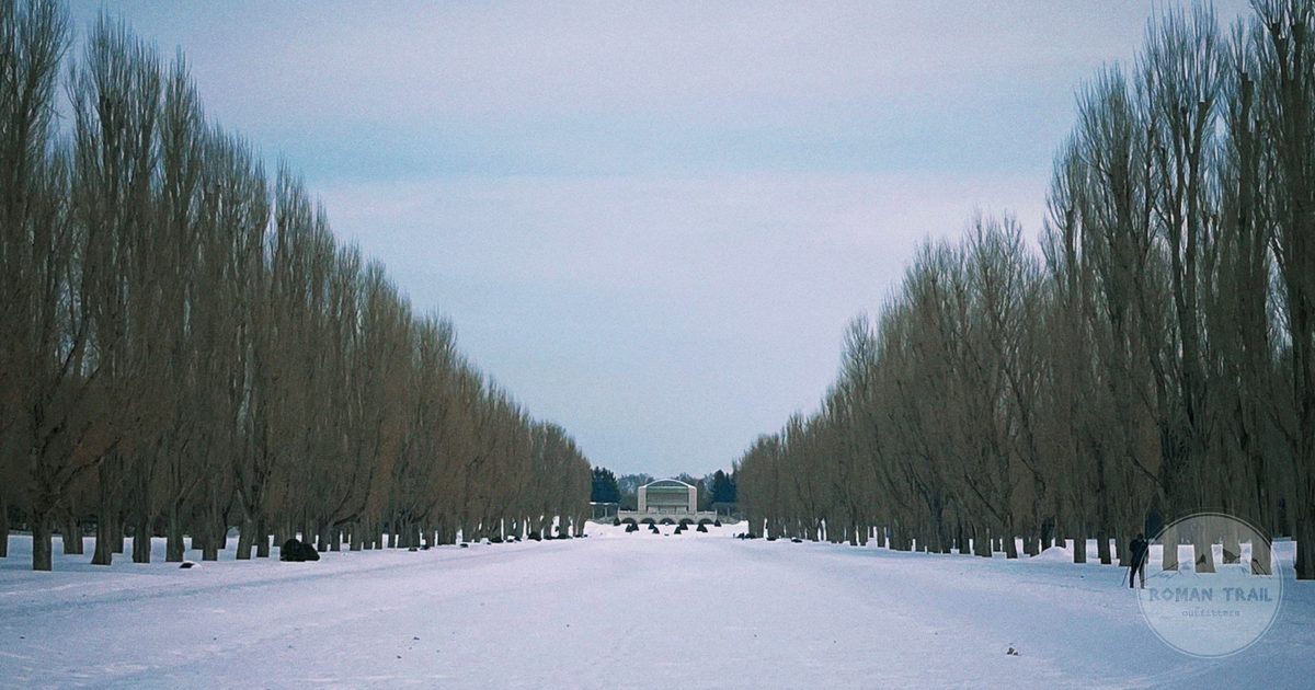 A snow covered tree lined path through a park in Sapporo, Sapporo packing list for women by Roman Trail Outfitters