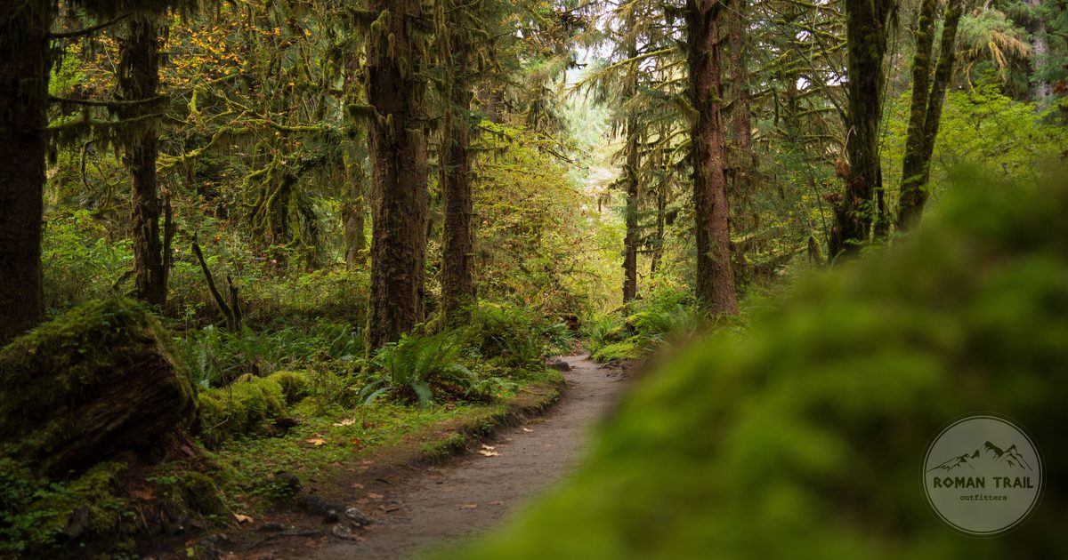 Moss covered trail through the Hoh Rain Forest in Olympic National Park, Washington for women travelers
