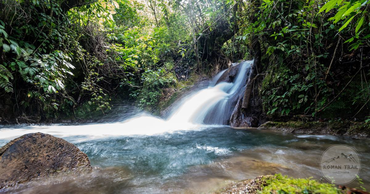 A waterfall falling through dense jungle