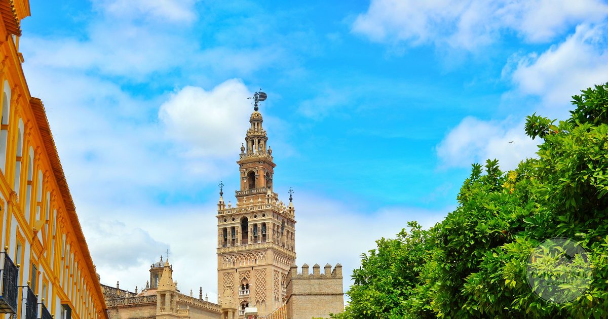 La Giralda bell tower above Andalusian rooftops and orange trees, Seville for women travelers