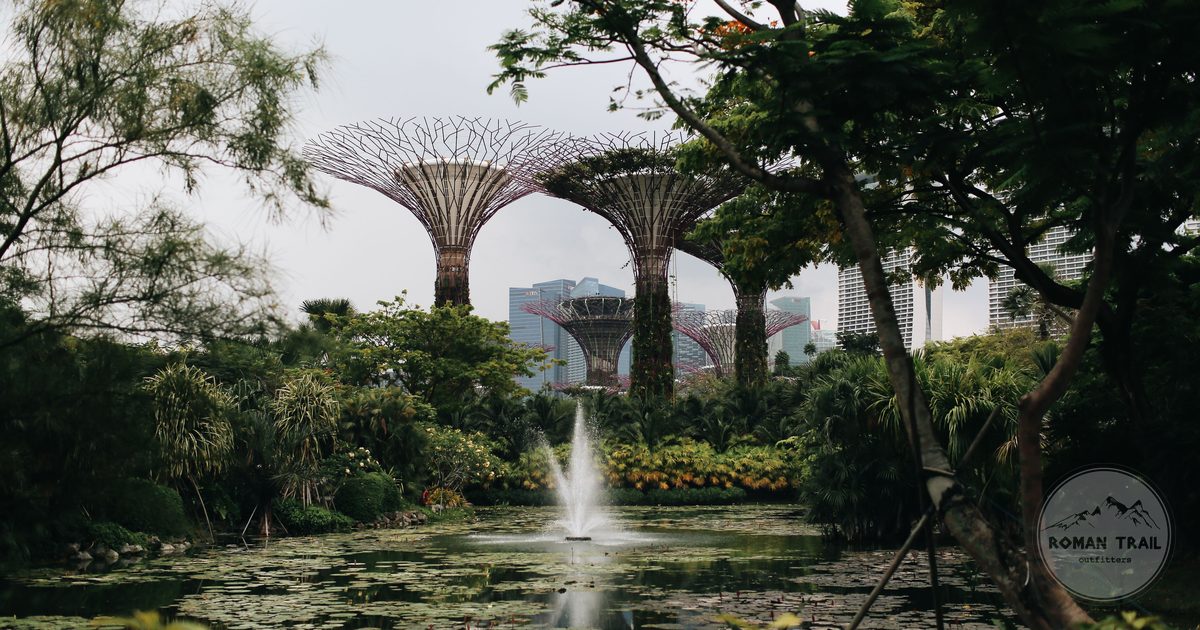 Supertree Grove at Gardens by the Bay in Singapore