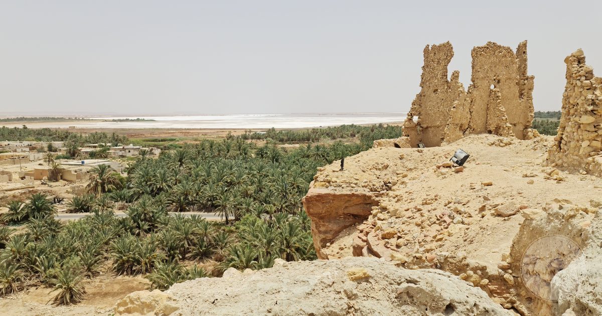 Old mud brick ruins in Matrouh, Egypt with the oasis palms behind them