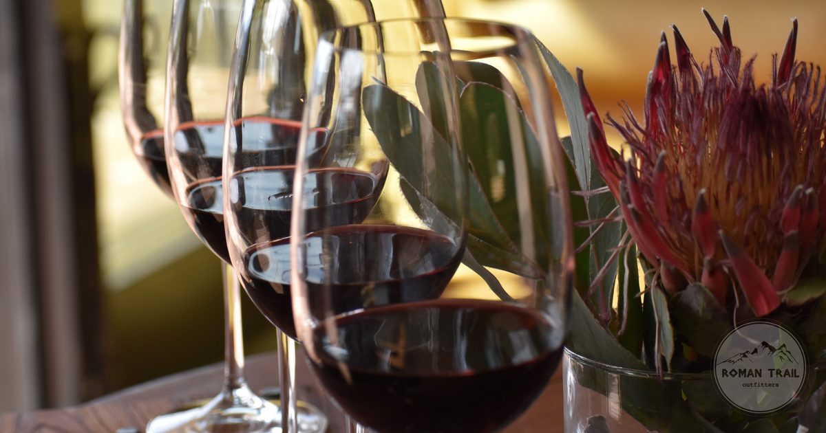 Glasses of red wine with a protea flower at a tasting in Stellenbosch, South Africa