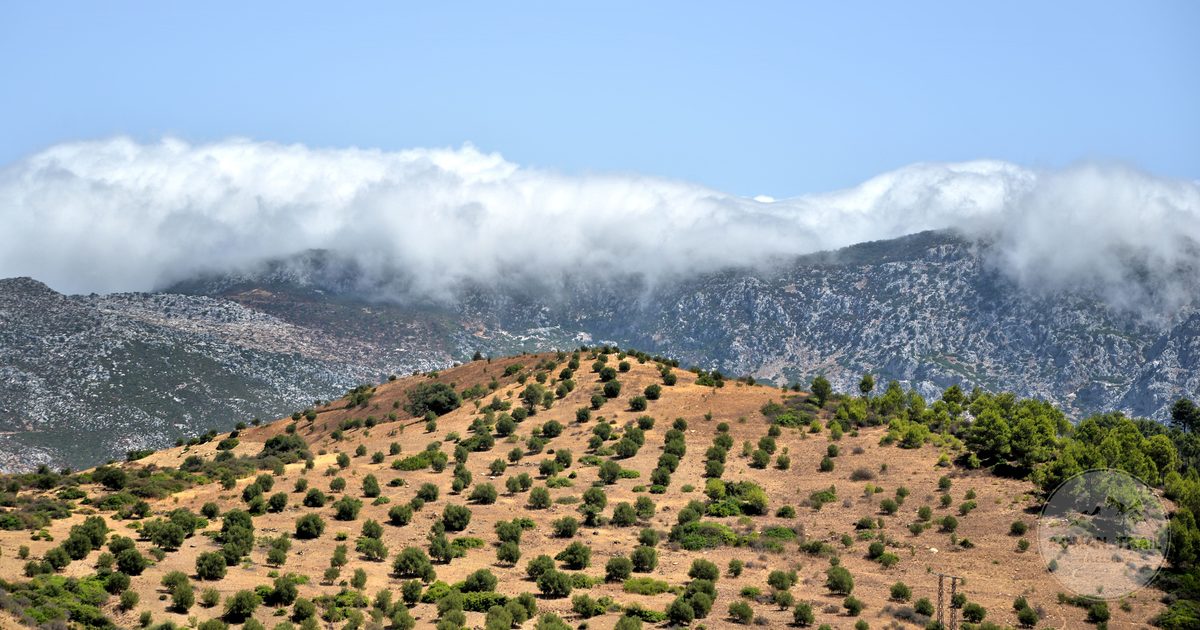 Rugged landscape and scattered vegetation in the Rif near Chefchaouen, Morocco