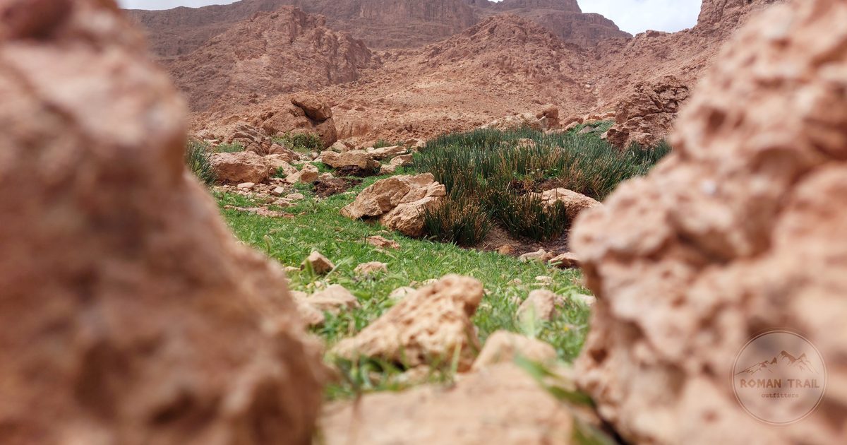 Rock formations above the valley at Tinghir, Morocco
