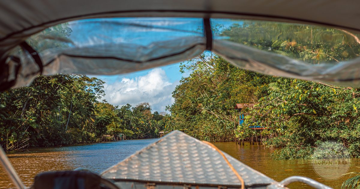 A boat on a narrow jungle river between walls of dense green foliage