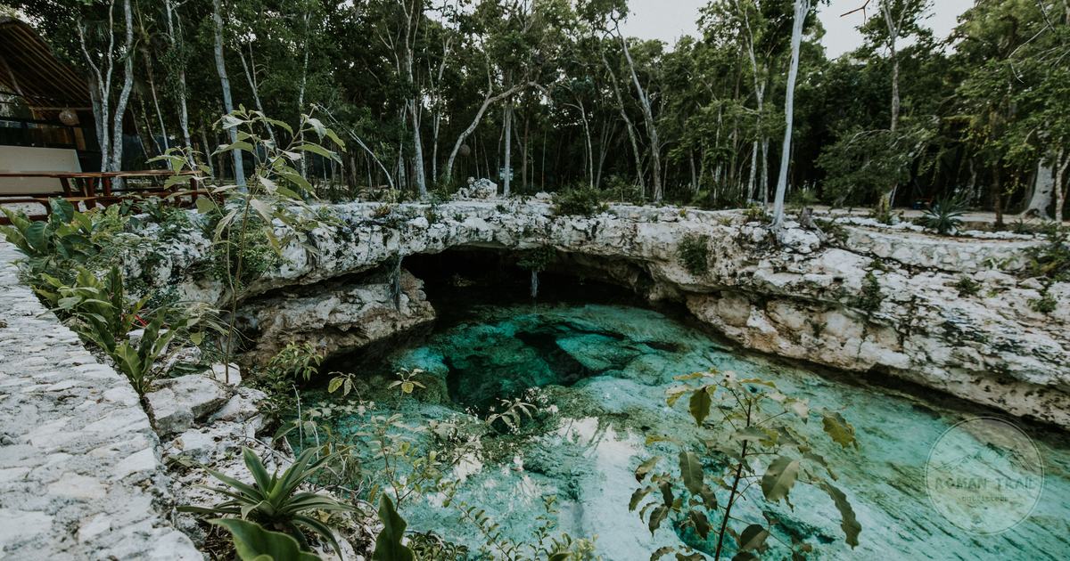 A cenote with clear water surrounded by greenery near Tulum, Mexico