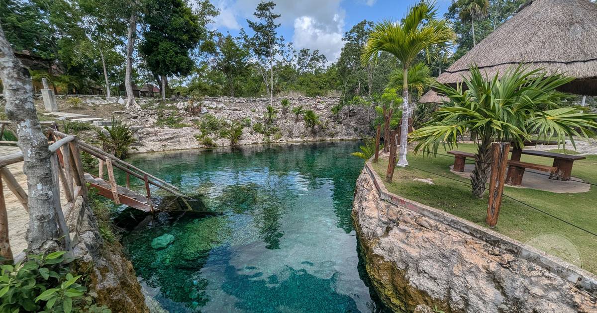 A natural cenote pool surrounded by jungle near Tulum, Mexico