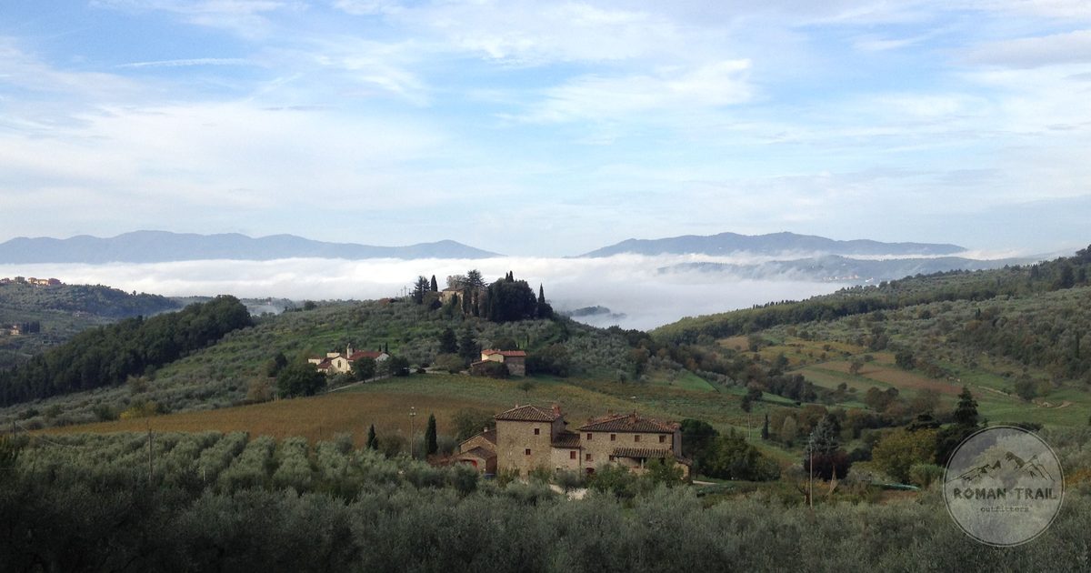 Olive groves and villas among the hills of Tuscany, Italy