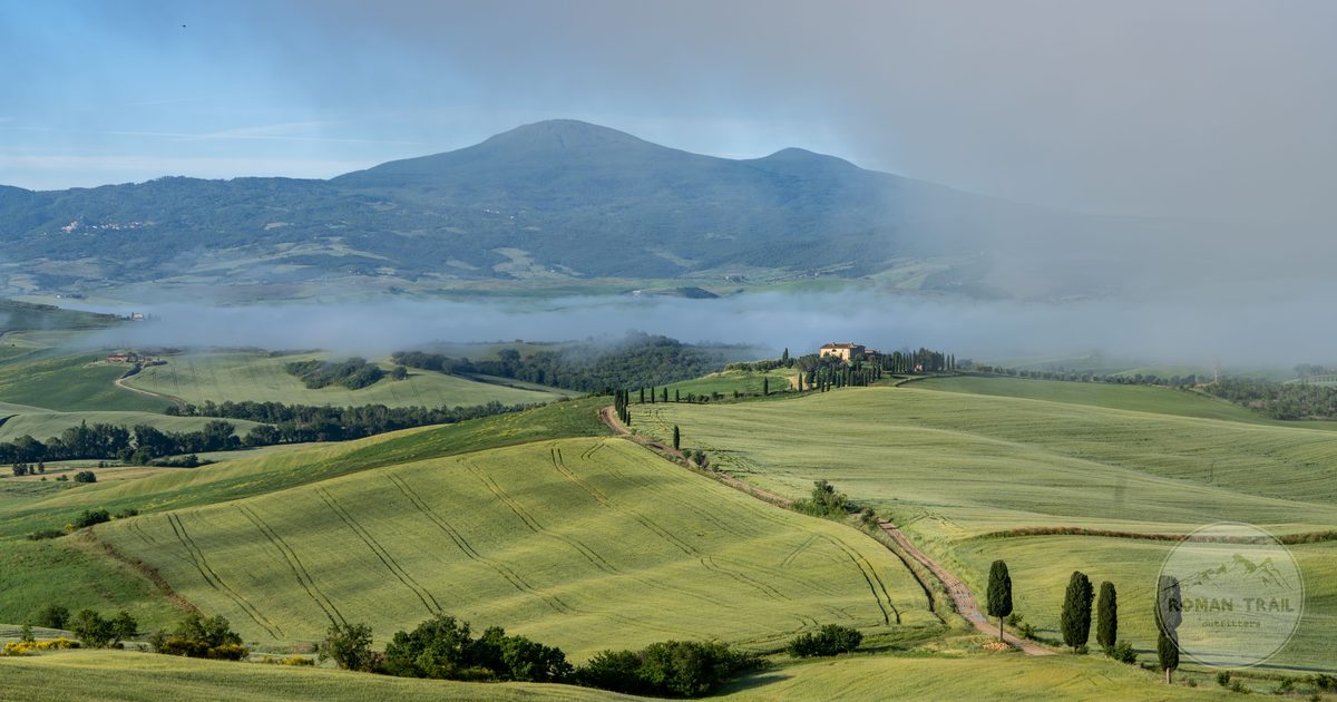 Rolling hills at San Quirico d Orcia in Tuscany, Italy