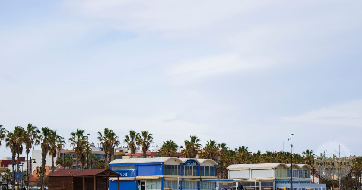 Palm-lined beachfront promenade at La Malvarrosa in Valencia, Spain