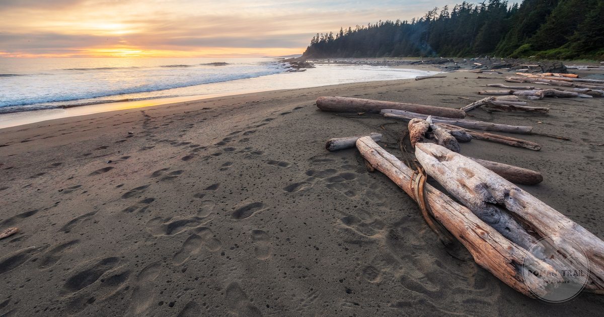 Sunset on a driftwood beach on Vancouver Island, Canada