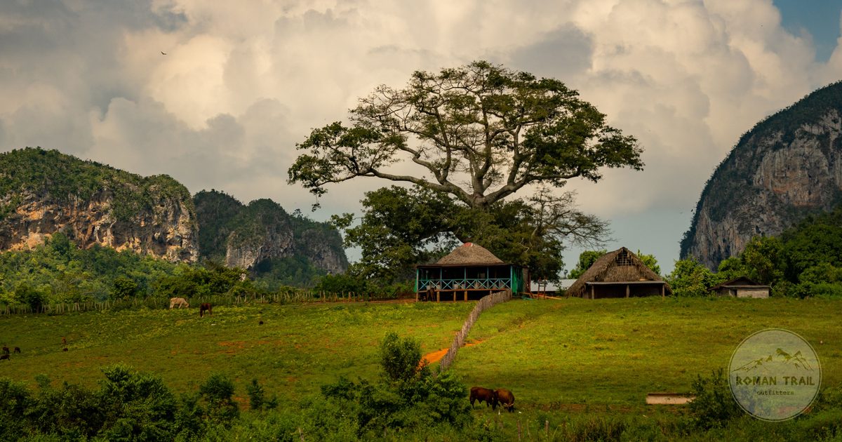 A traditional Cuban house and a large tree below the hills of the Vinales Valley