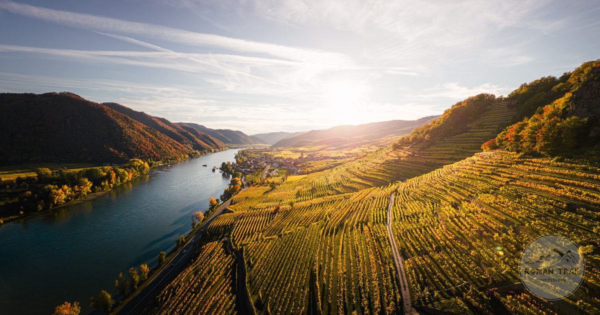Wachau vineyards at sunset in autumn near Weissenkirchen, Austria