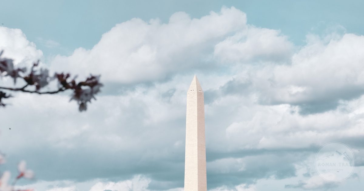 The Washington Monument framed by a cherry blossom branch, Washington DC for women travelers