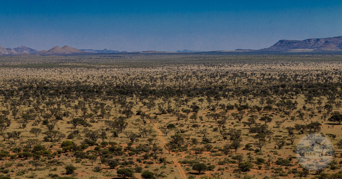 Aerial view of Namibian savannah with acacia trees and distant mountains