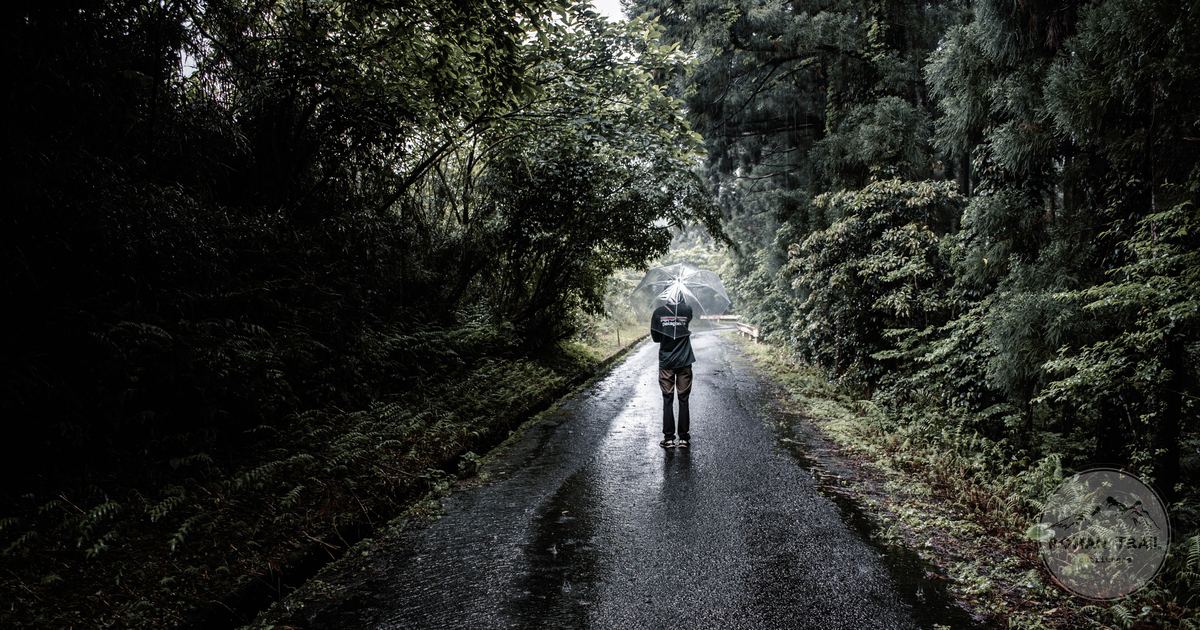 A figure with an umbrella on a rainy forest road on Yakushima, Japan