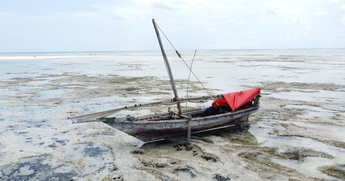A traditional dhow sitting on shallow water at low tide, Zanzibar, Tanzania